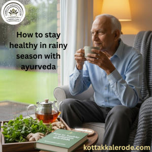 kottakal-blog-image-6-3