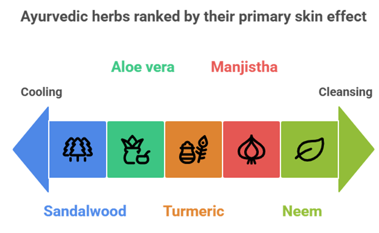 How Herbs Help in Ayurvedic acne treatment Naturally